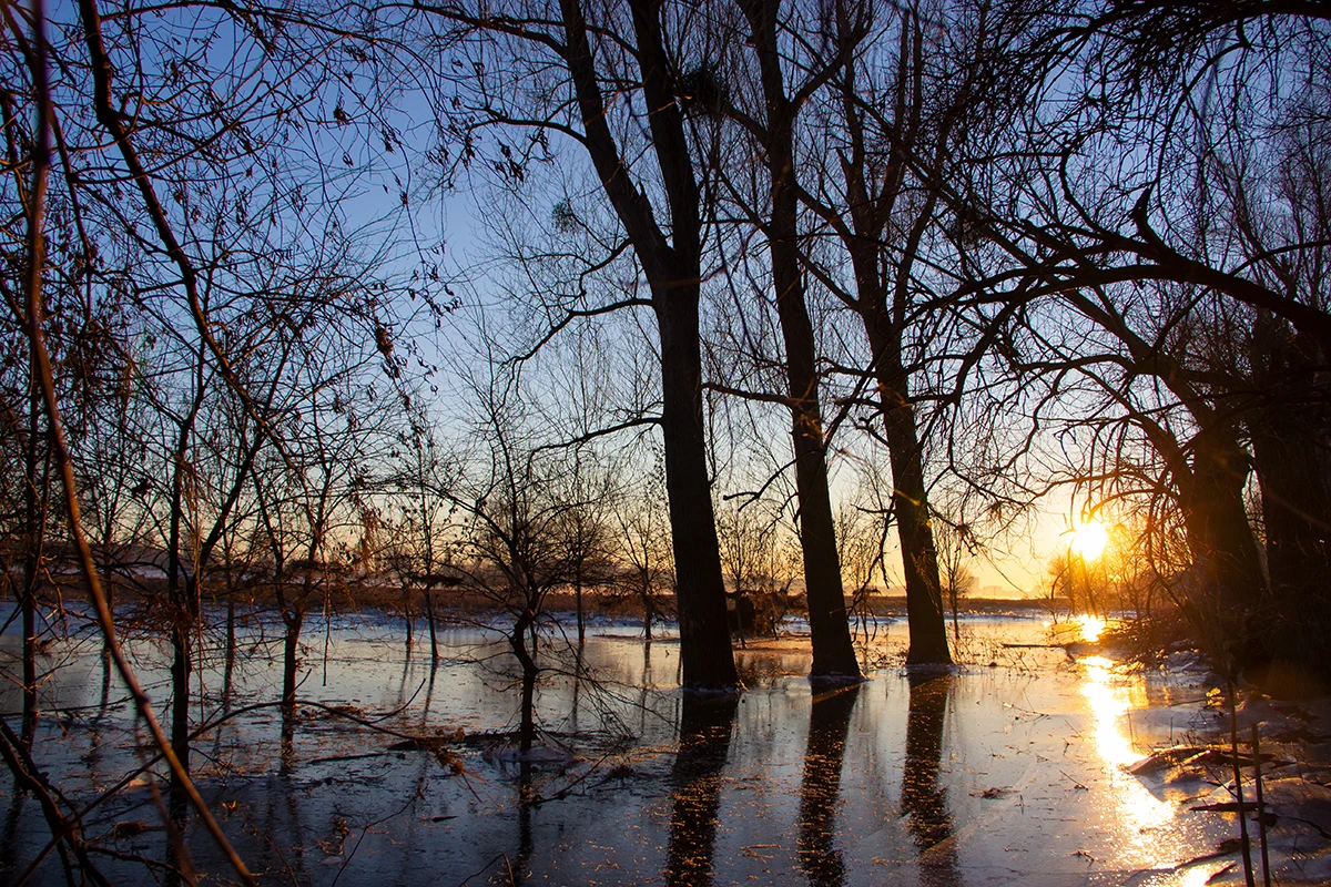 Eissee Rheinwiese